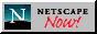 Best Viewed With Netscape Navigator